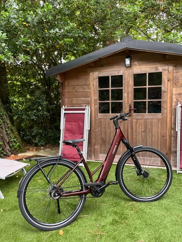 Traumhaftes E-Bike