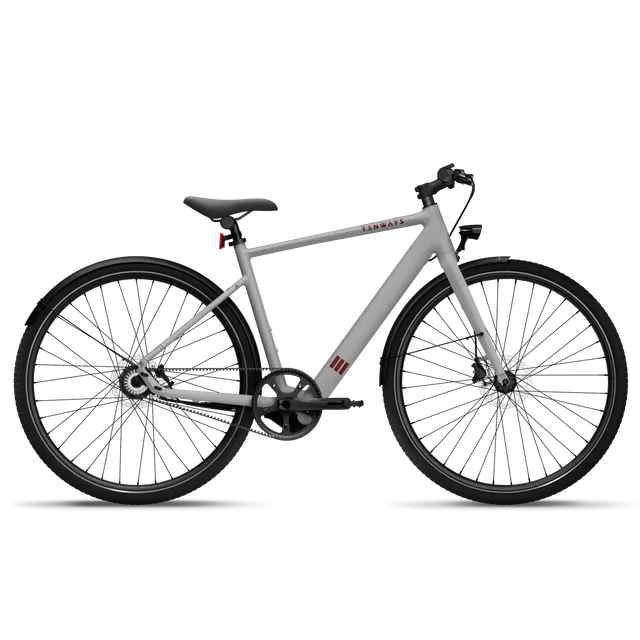 tenways-cgo600-a-e-bike-leichtes-urban-e-bike image 1